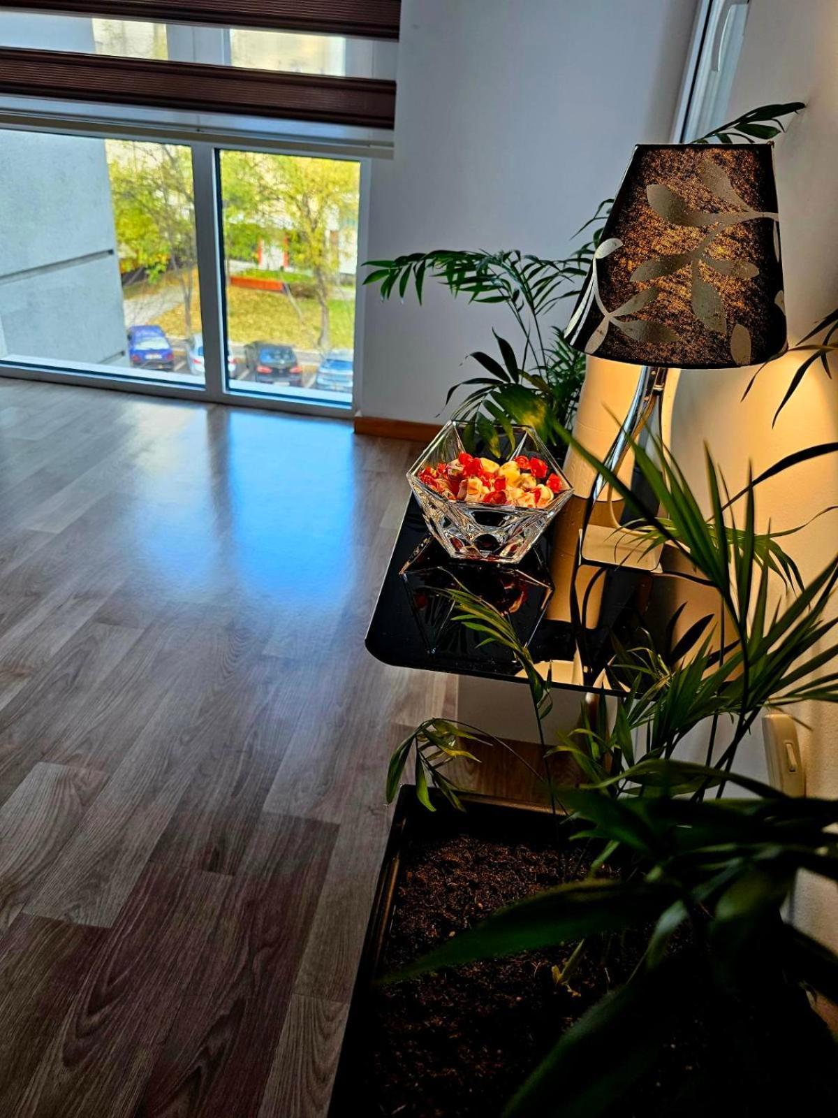 Eva'S Premium Apartments Szkopje Kültér fotó