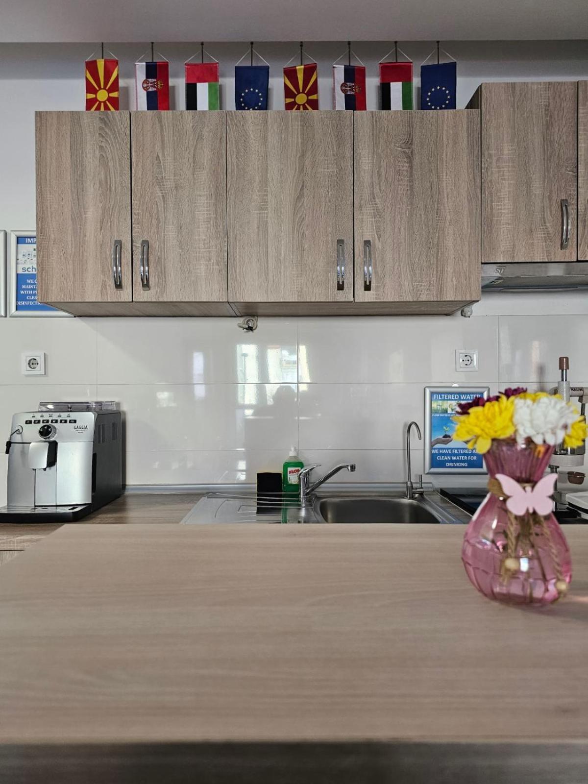Eva'S Premium Apartments Szkopje Kültér fotó